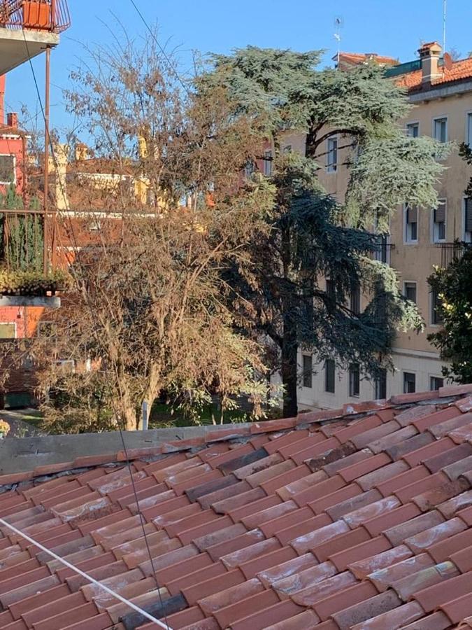 Eagle'S Nest Venice Guest House Bagian luar foto